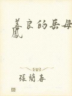 善良的岳母徐美凤