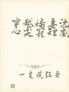 穿越娇妻沈队长心尖宠短剧免费观看