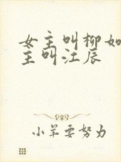 女主叫柳如烟男主叫江辰