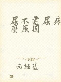 尿不尽尿疼是什么原因