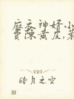 麻衣神婿小说免费陈黄皮,叶红鱼封面