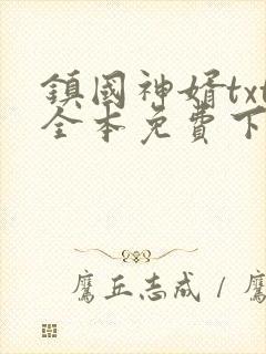 镇国神婿txt全本免费下载