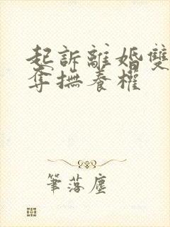 起诉离婚双方争夺抚养权