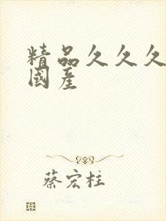 精品久久久久久国产