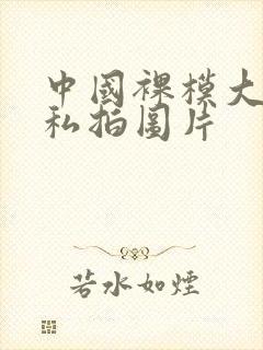 中国裸模大尺度私拍图片