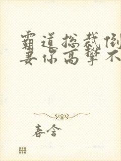 霸道总裁倒追前妻你高攀不起短剧免费观看