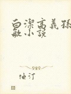 白洁高义孙倩张敏小说