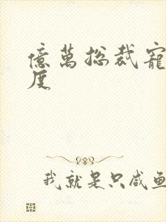 亿万总裁宠妻无度