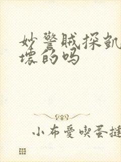 妙警贼探凯特是坏的吗封面