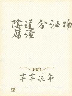 阴道分泌物为豆腐渣