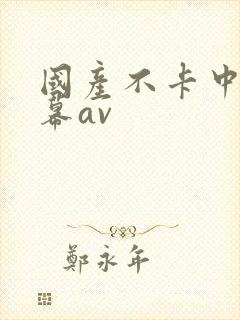 国产不卡中文字幕av