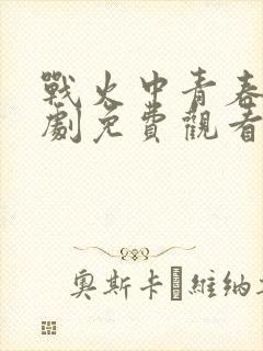 战火中青春电视剧免费观看全集