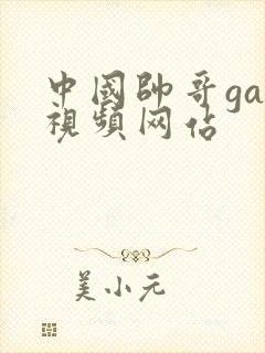 中国帅哥gay视频网站