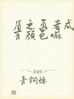 盾之勇者成名录有颜色嘛封面