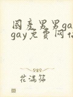 国产男男gaygay免费网站