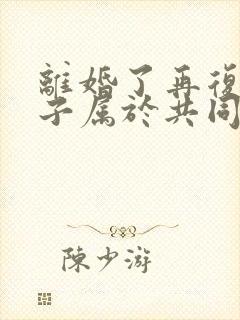 离婚了再复婚房子属于共同财产吗封面