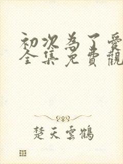 初次为了爱韩剧全集免费观看下载封面