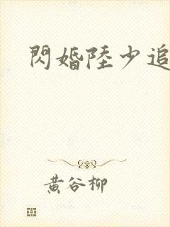 闪婚陆少追妻忙