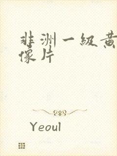 非洲一级黄色录像片