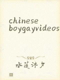 chineseboygayvideos
