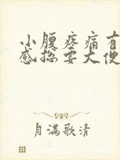 小腹疼痛有下坠感总要大便的感觉