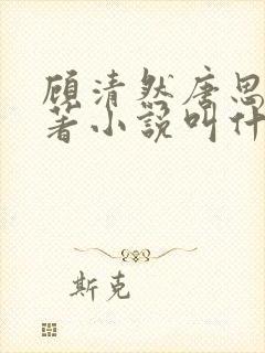 顾清然唐思年原著小说叫什么名字