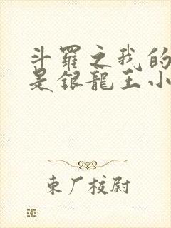 斗罗之我的老婆是银龙王小说