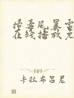 扫毒风暴电视剧在线播放免看全集