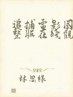 追捕电影国语完整版在线观看免费