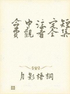 命中注定短剧免费观看全集高清封面