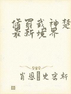 修罗武神楚枫的最新境界