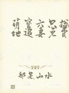 萌宝六只总裁爹地追妻免费阅读