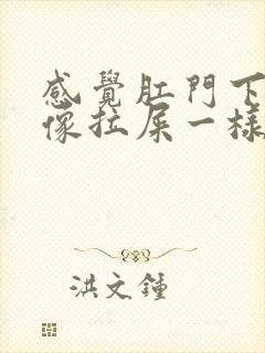 感觉肛门下坠感像拉屎一样封面