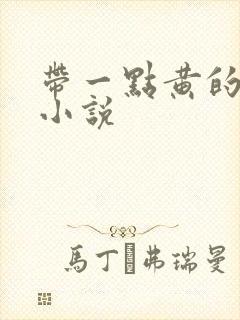 带一点黄的言情小说封面