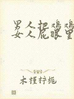 男人把鸡鸡插进女人屁眼里视频