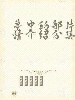 梦中的那片海剧情介绍分集