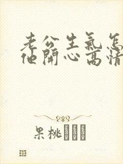 老公生气怎么哄他开心高情商的话