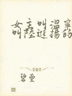 女主叫温宁男主叫陆进扬的小说