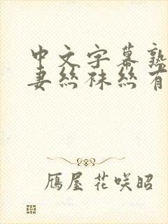 中文字幕熟女人妻丝袜丝有码封面