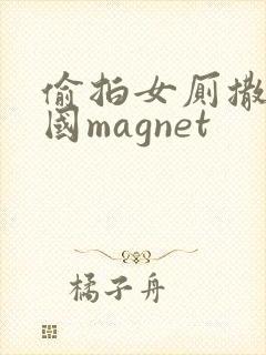 偷拍女厕撒尿全国magnet