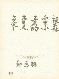 免费看电视剧两个人的小森林全集