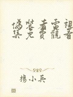 伪装者电视剧全集免费观看48集高清