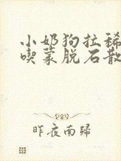 小奶狗拉稀可以吃蒙脱石散吗