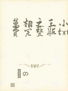 万相之王小说免费完整版txt下载封面