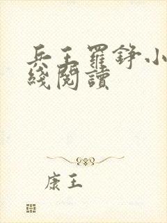 兵王罗铮小说在线阅读