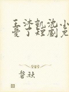 王沐凯沈小姐不爱了短剧免费播放