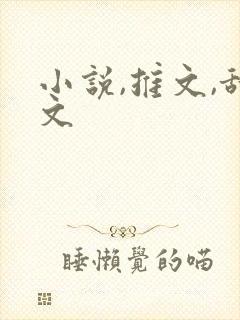 小说,推文,甜文