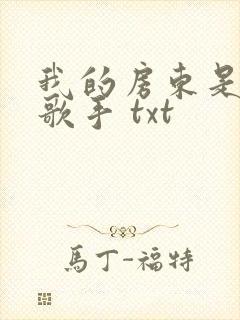 我的房东是偶像歌手 txt