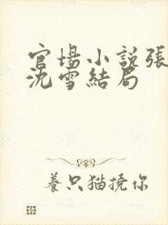 官场小说张俊和沈雪结局