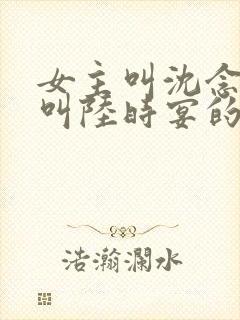 女主叫沈念男主叫陆时宴的小说封面